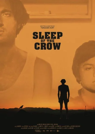 Сон ворона турецкий сериал